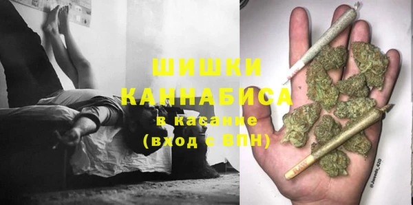 ПСИЛОЦИБИНОВЫЕ ГРИБЫ Баксан