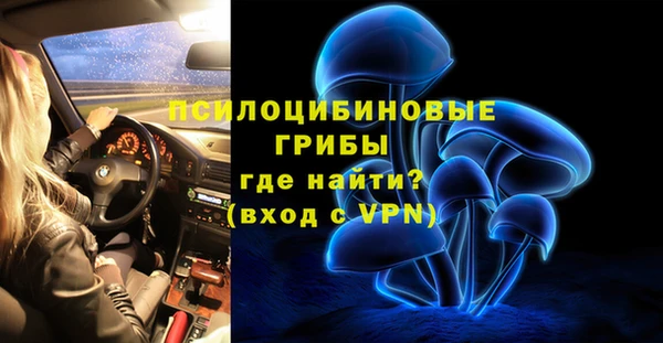 ПСИЛОЦИБИНОВЫЕ ГРИБЫ Баксан