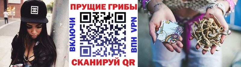 Псилоцибиновые грибы Magic Shrooms  mega ссылка  Пущино  наркота 