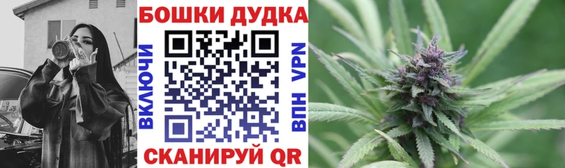 даркнет сайт MEGA ТОР Каннабис индика Пущино